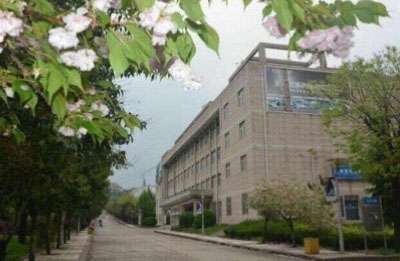 ʦѧԺѧѶǮ רҵշѱ׼