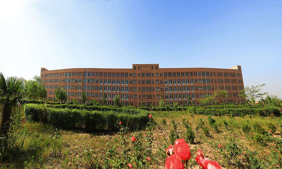 ҽְҵѧУǹ컹 רƻǱ