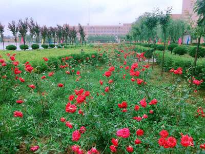 ҽְҵѧУЩרҵ 2021¼ƻ