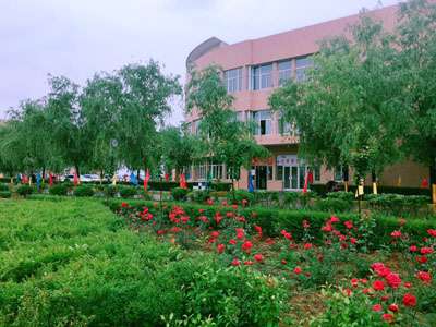 ҽְҵѧУҵô ҵ䰲