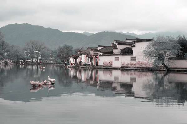 ְҵеרҵѧУ¼ƻ 2021Ҫ󼰱