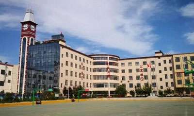 ʡ߽ϵͳְҵеרҵѧУǹ컹 רר