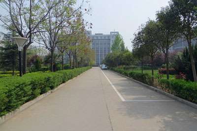 ְҵѧУְУǼУ ѧƾҳ