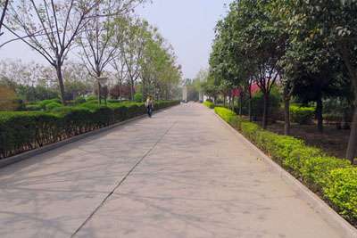 ְҵѧУЩרҵ صźרҵ