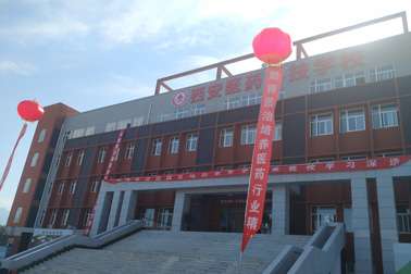 ҽҩƼְҵѧУȫ ǹ컹