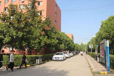 пƼְҵѧУ ְѧʲôϵ