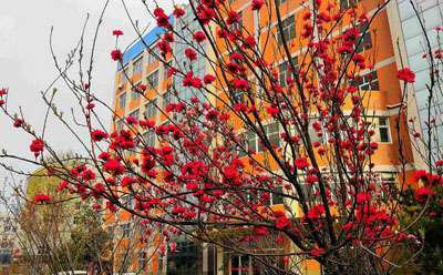 ƼѧУȫ ǼУ3+2ѧУ