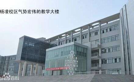 ҽѧУЩרҵ صźרҵ