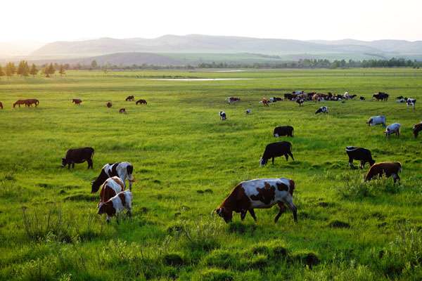 ʡ˶ѧУǹ컹 Ǵרר