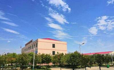 ߿ƹ̼ѧУǹ컹˽ Ǵרר