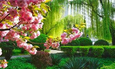 2021ʯʹѧ˸߿ ѧѼշѱ׼