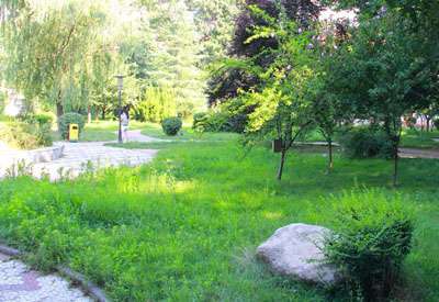 ʡְѧ˸߿¼ѧշѱ׼