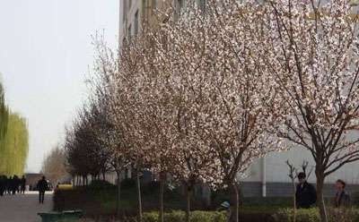 ·ʦѧԺǴרר ǹ컹