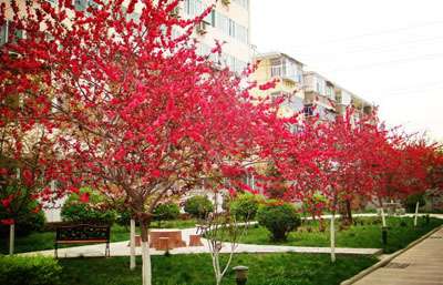 ������ʦѧԺ2021���������¼�����רҵ