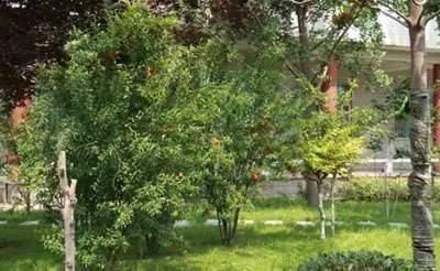 ְҵеרҵѧУѧѼշѱ׼