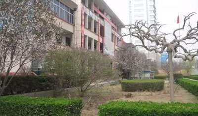 ͭҫݸ߼ְҵѧ¼רҵ