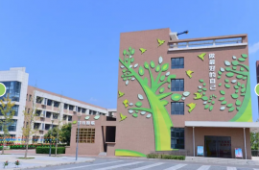 ������������Сѧ